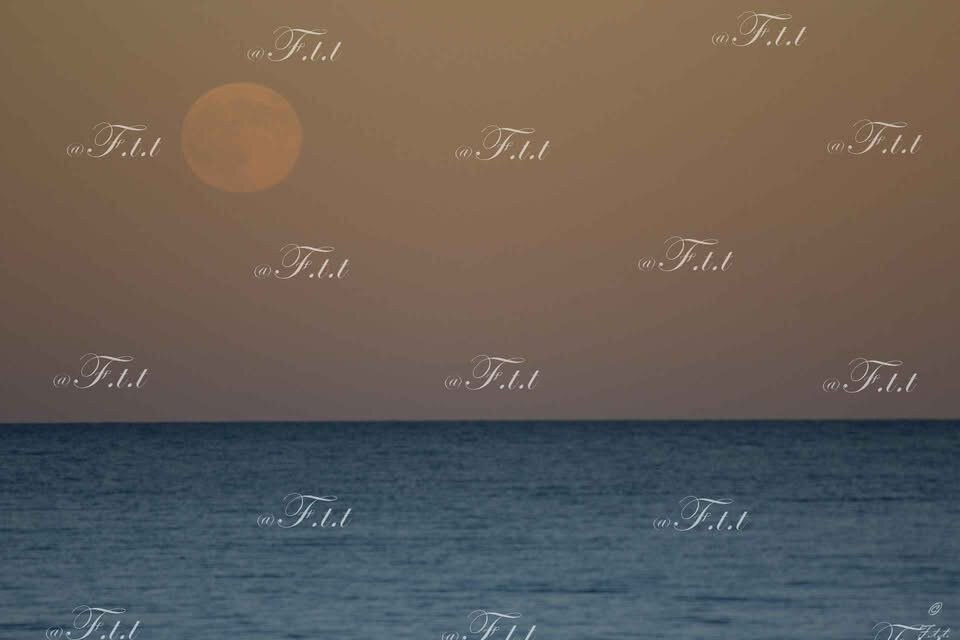 Lido La Playa Beach Club-波利科罗必去景点