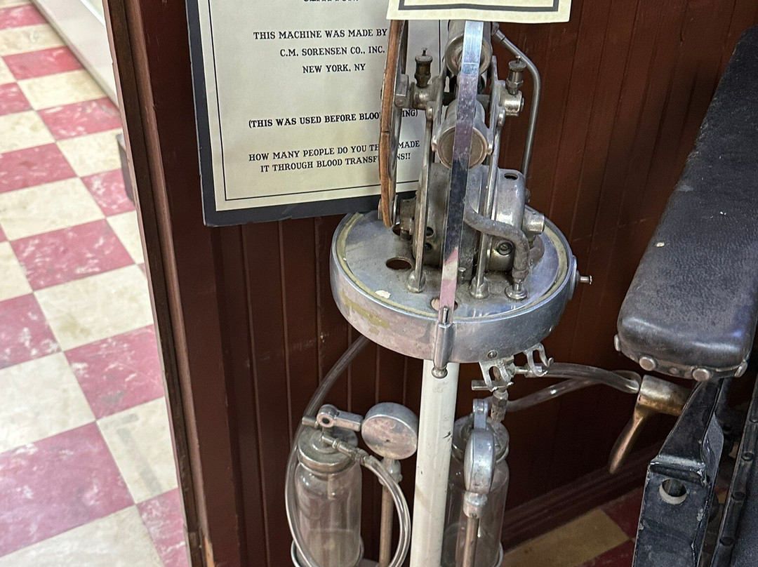 Herzstein Memorial Museum-Clayton必去景点