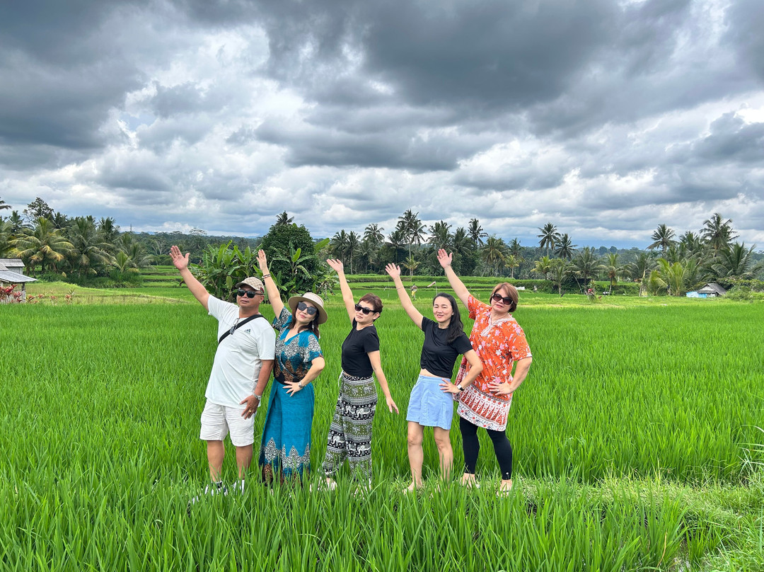 Driver Ubud-乌布必去景点