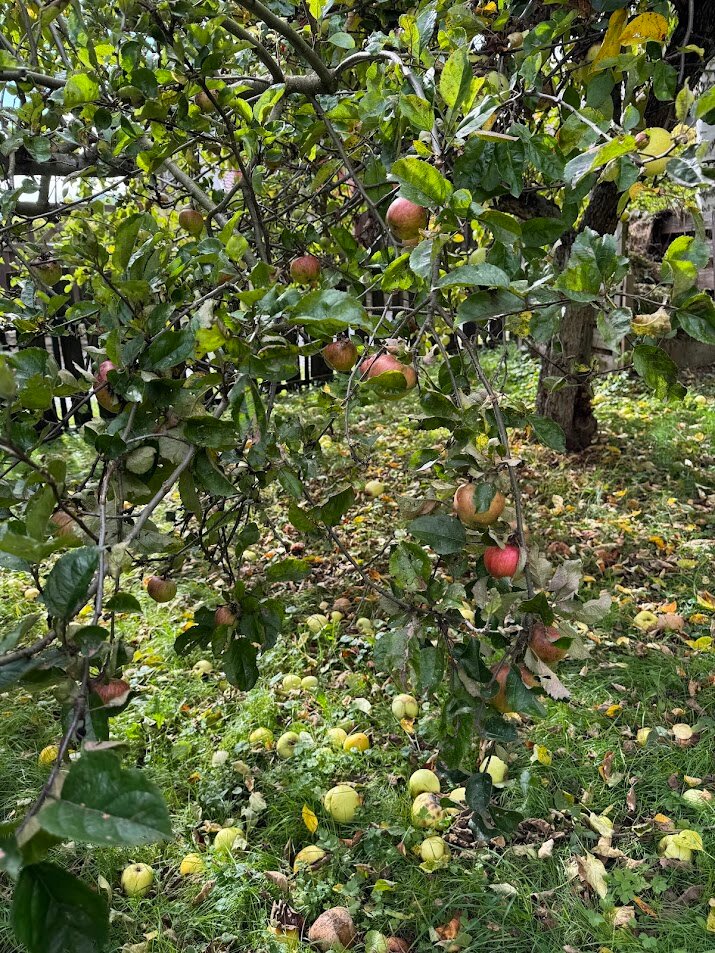 Czerwony Dworek 8-浴室