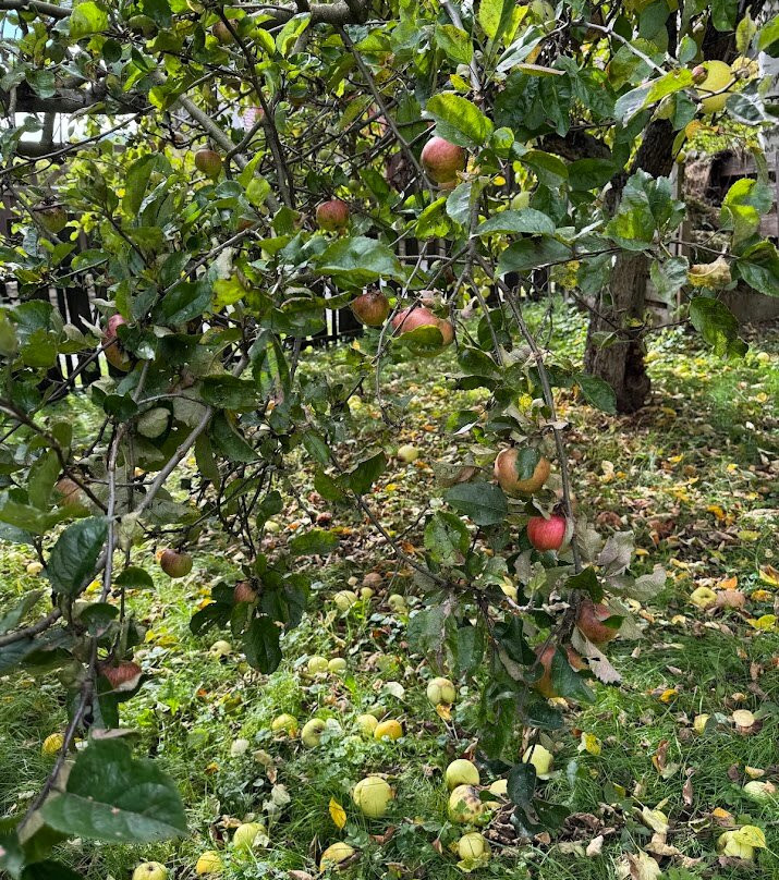 Czerwony Dworek 8主图