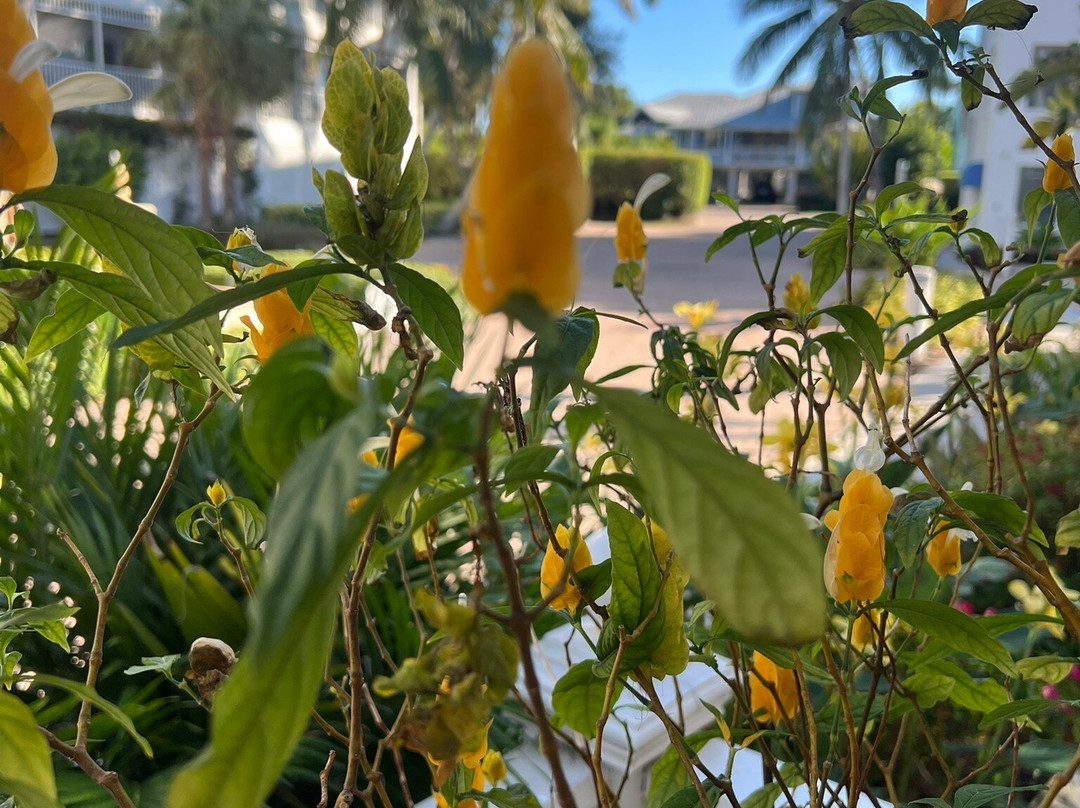 奥尔德马可岛旅馆及套房酒店主图