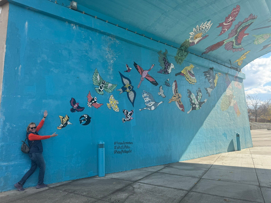 Sunsphere Tower-诺克斯维尔必去景点