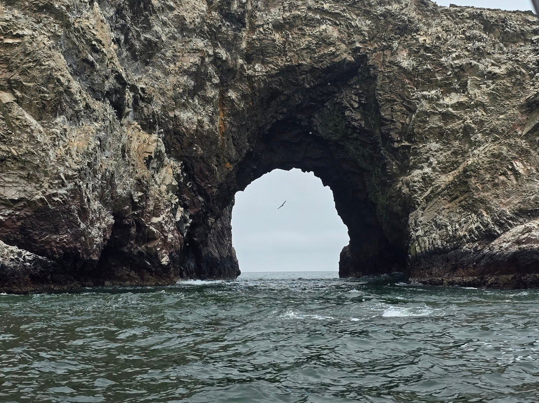 Aliza Tours-Huacachina必去景点