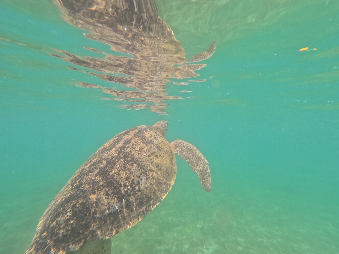 Colours Of Madagascar-Hell-Ville必去景点