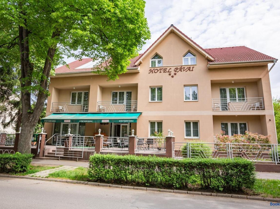 Hotel Pavai主图