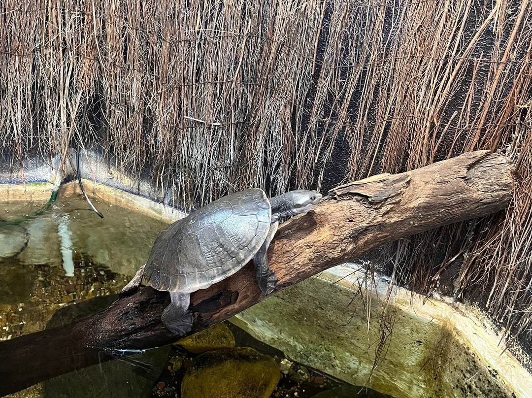 Reefworld Aquarium-尤兰根必去景点
