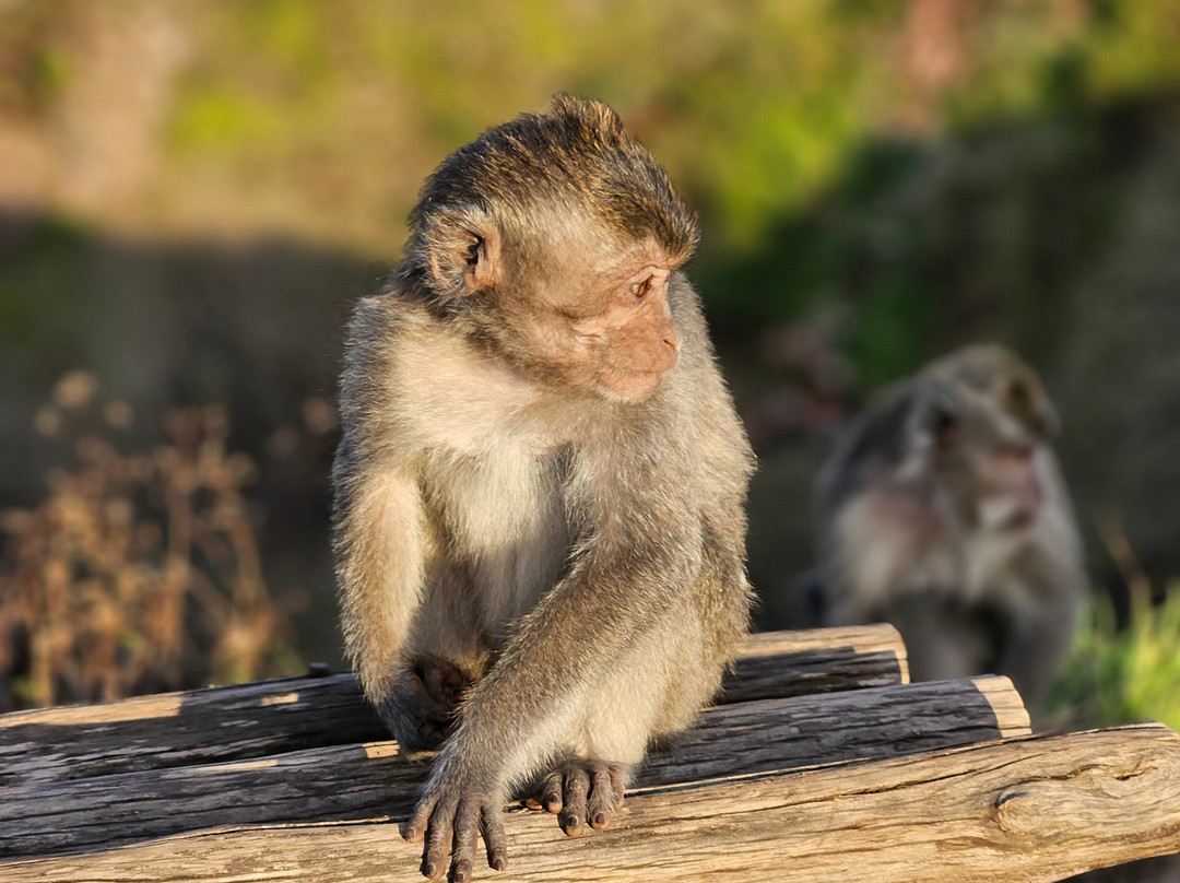 Bali Rêve-达巴南必去景点