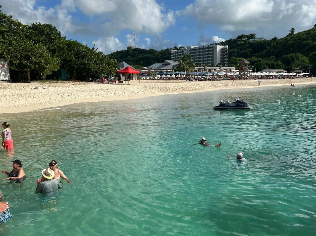 Wadadli Cats-安提瓜必去景点