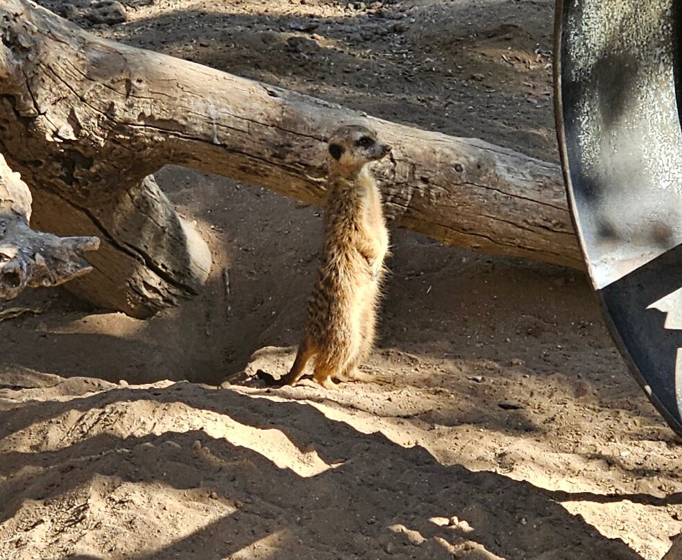 Wildlife World Zoo and Aquarium-Litchfield Park必去景点