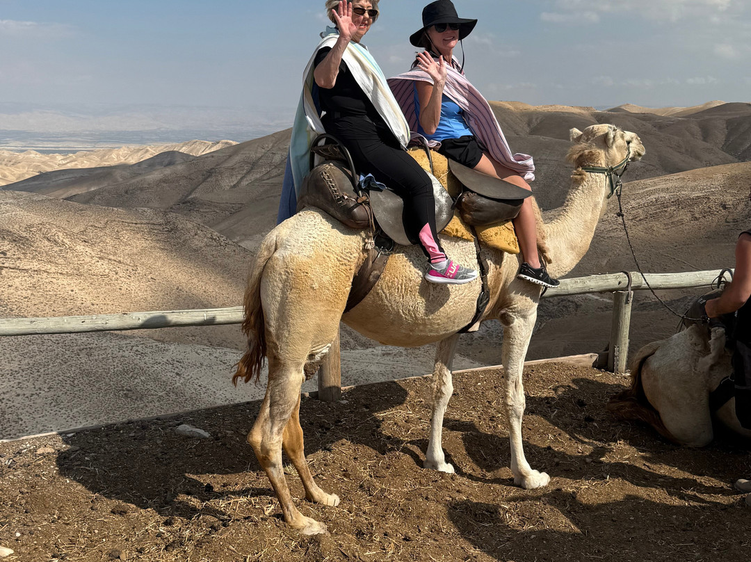 Pilgrim Tours-Morgantown必去景点