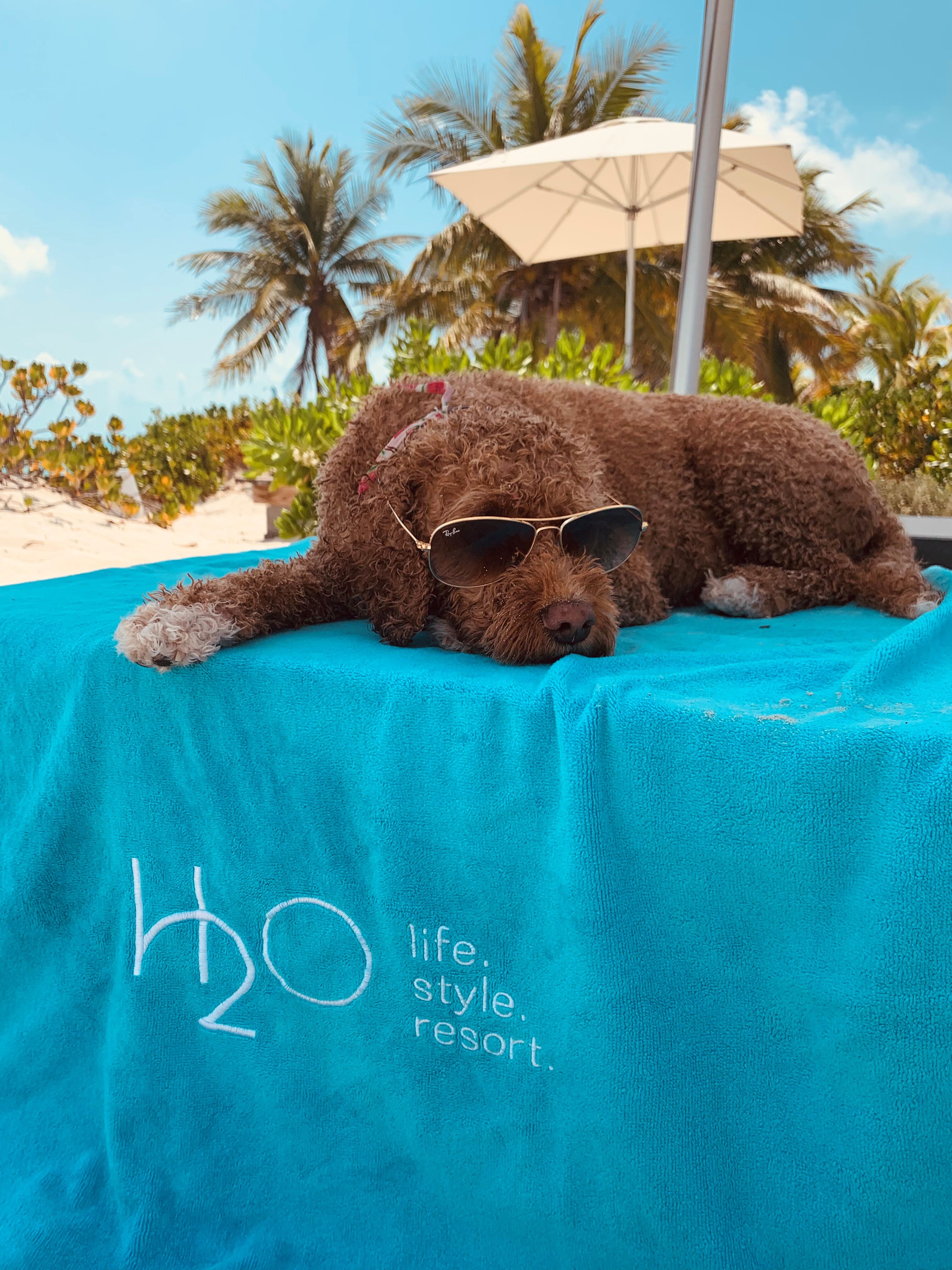 H2O LifeStyle Resort-官方