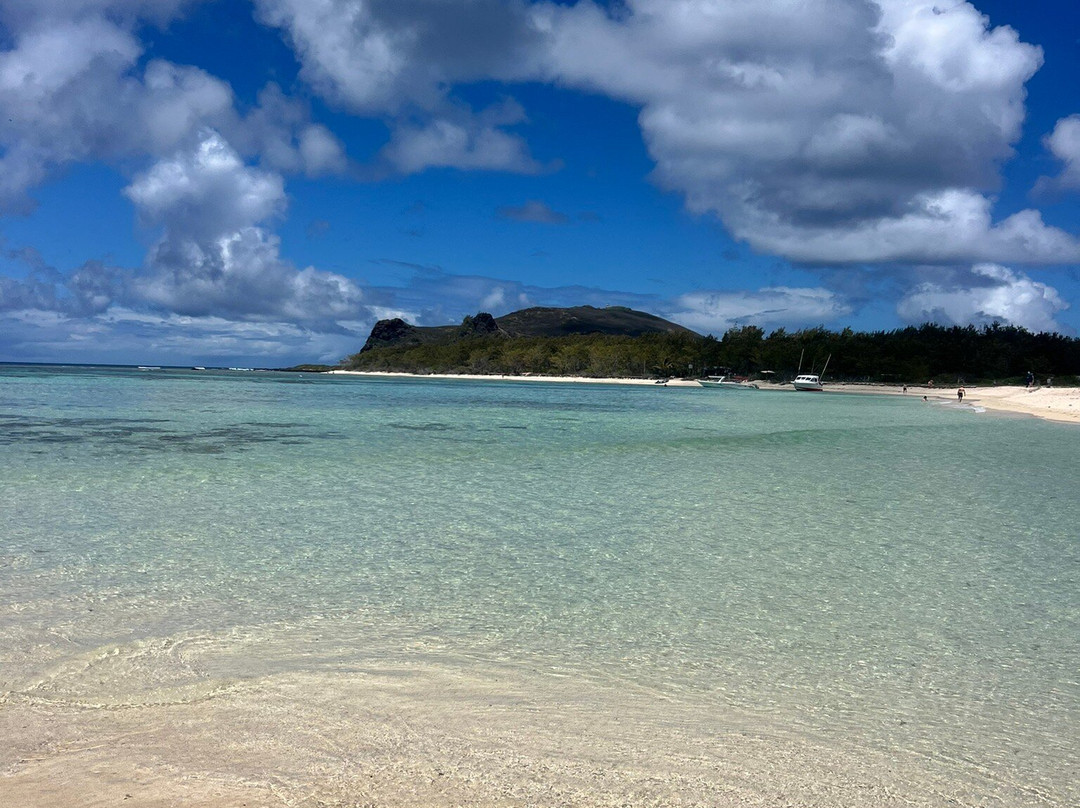 TOPCAT Cruises-大湾必去景点