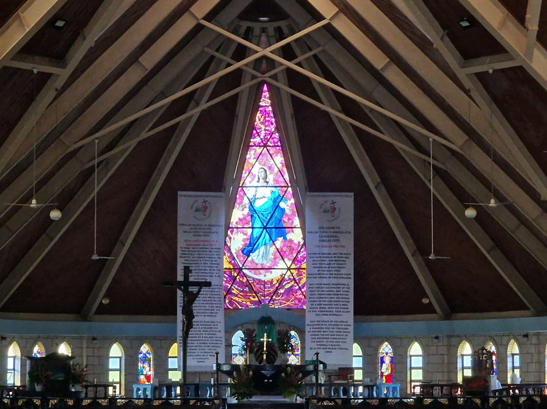St. Mary's Cathedral-努库阿洛法必去景点