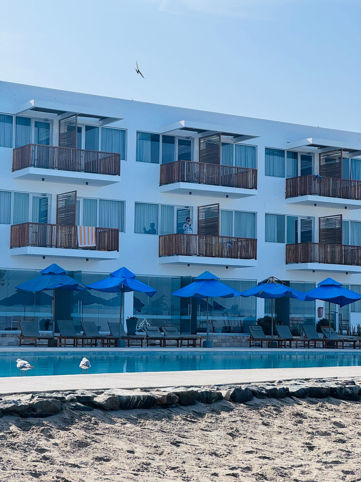 圣奥古斯丁帕拉卡斯酒店-官方