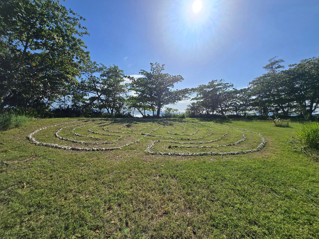 The English Rose Guest House主图