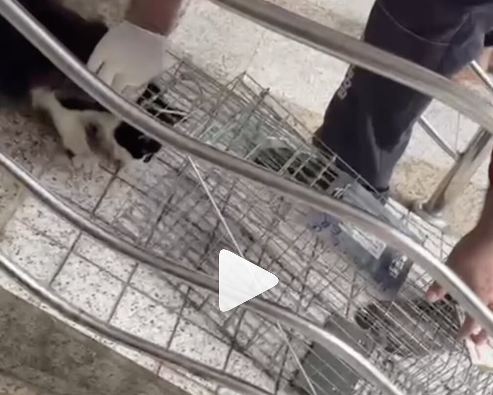 萨贾阿尔麦地那酒店主图