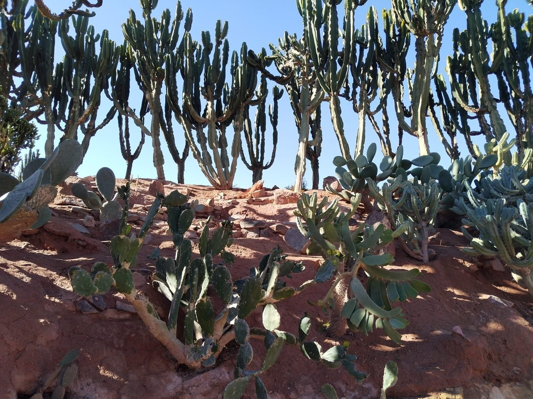 Crocoparc-阿加迪尔必去景点