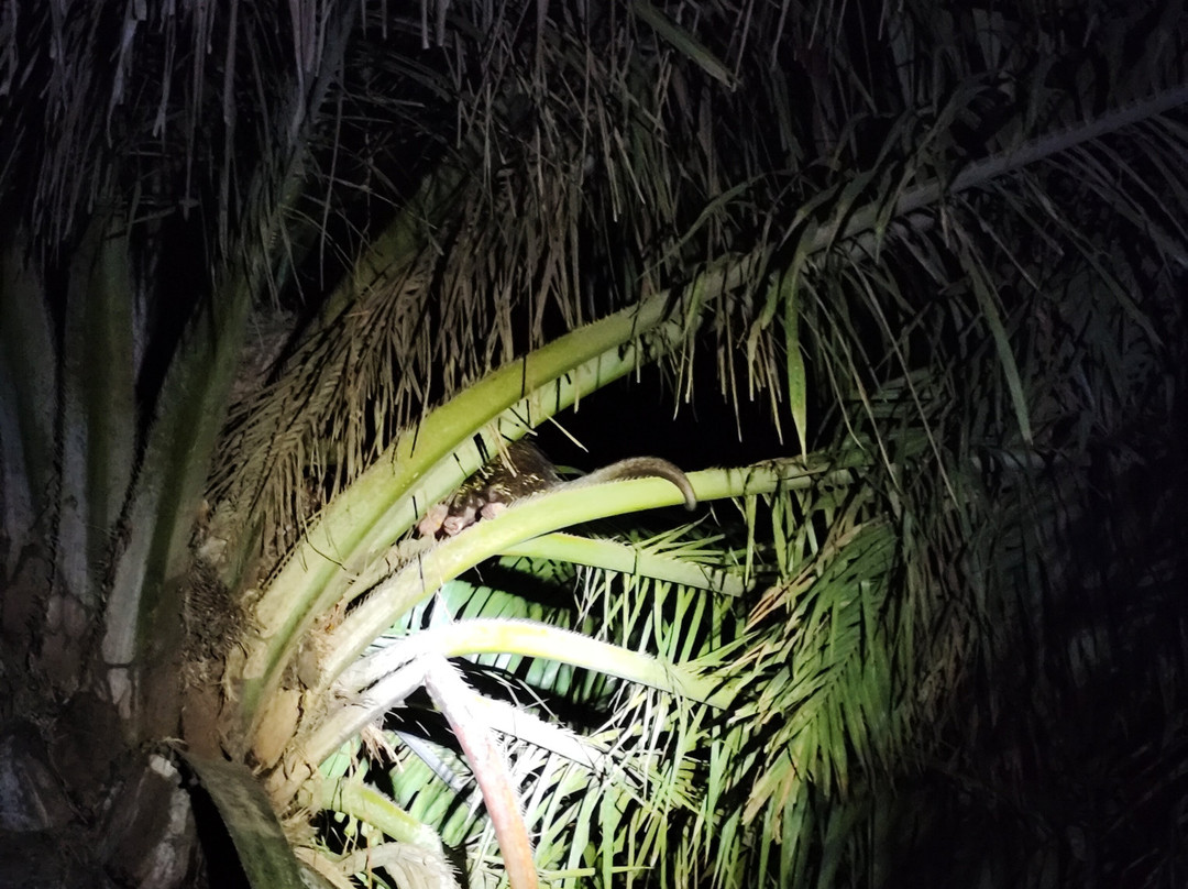 GREEN HOUSE TAMBOPATA-Filadelfia必去景点