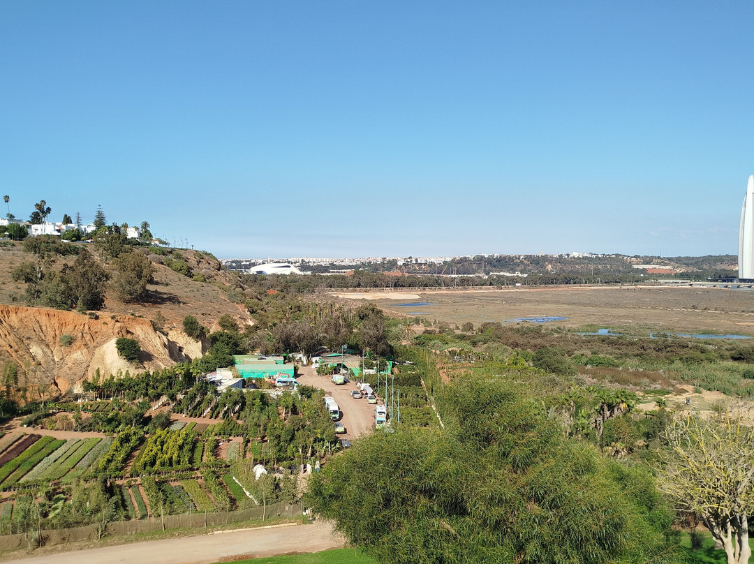 Chellah Rabat-拉巴特必去景点