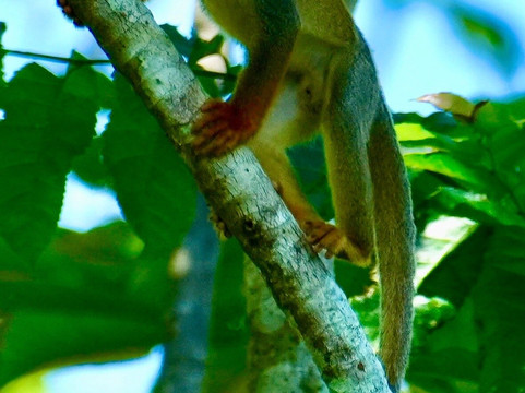 Aludi Travel-马丘比丘必去景点