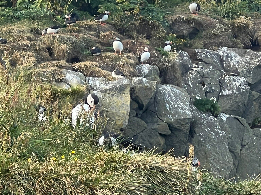 迪霍拉里海岬-维克必去景点