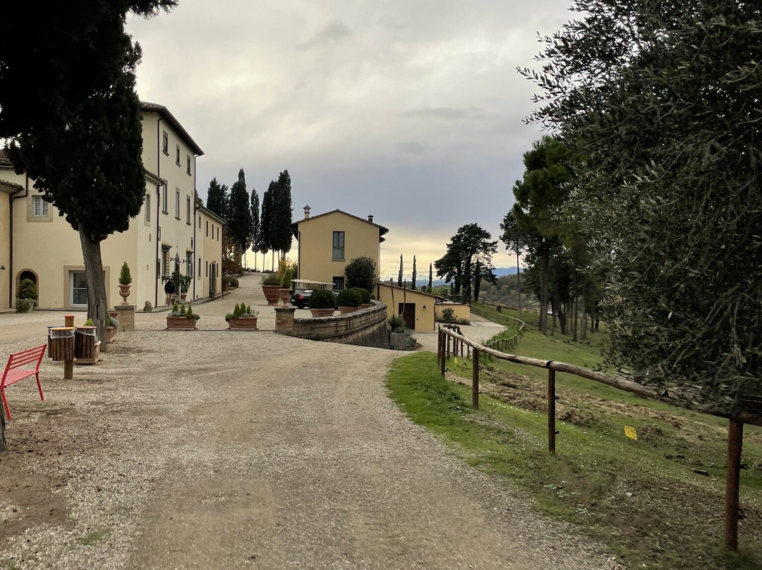 Villa Petriolo主图