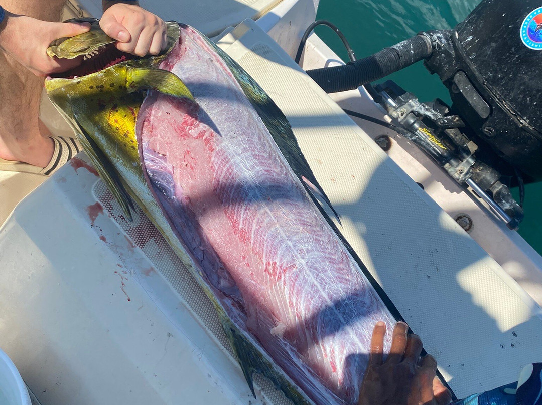 Samara Deep Sea Fishing And Lodge-萨玛拉滩必去景点