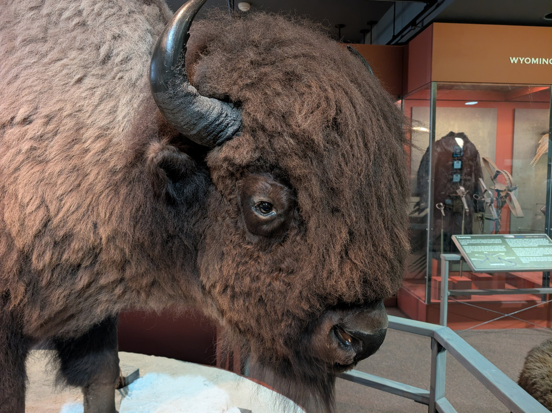 Wyoming State Museum-夏延必去景点