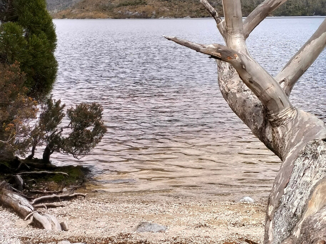 Crater Lake Circuit-摇篮山圣克莱尔湖国家公园必去景点