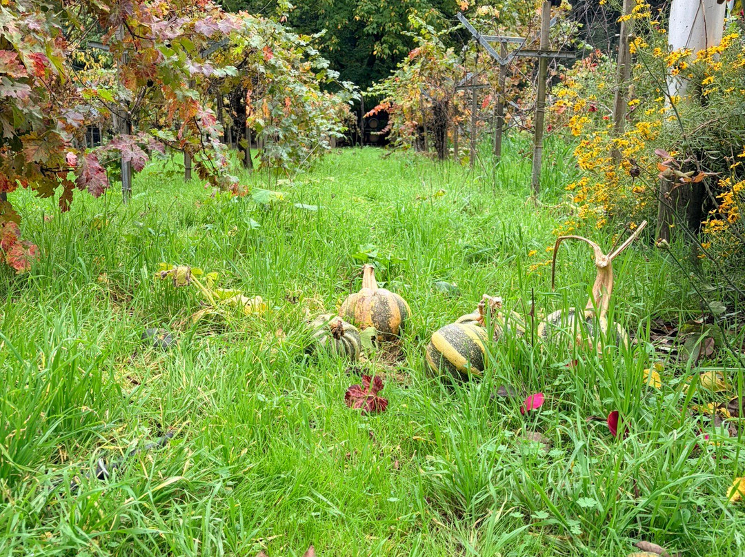 Tres Sabores Winery-圣海伦娜必去景点