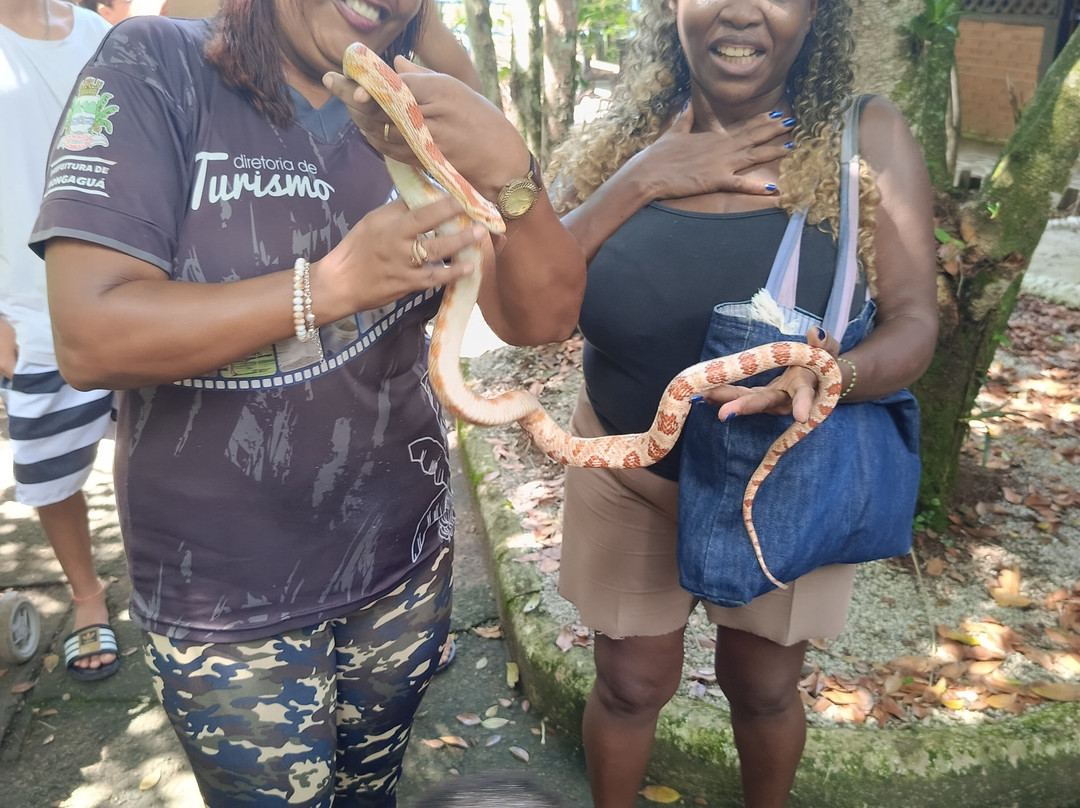 Parque Ecológico A Tribuna-Mongagua必去景点