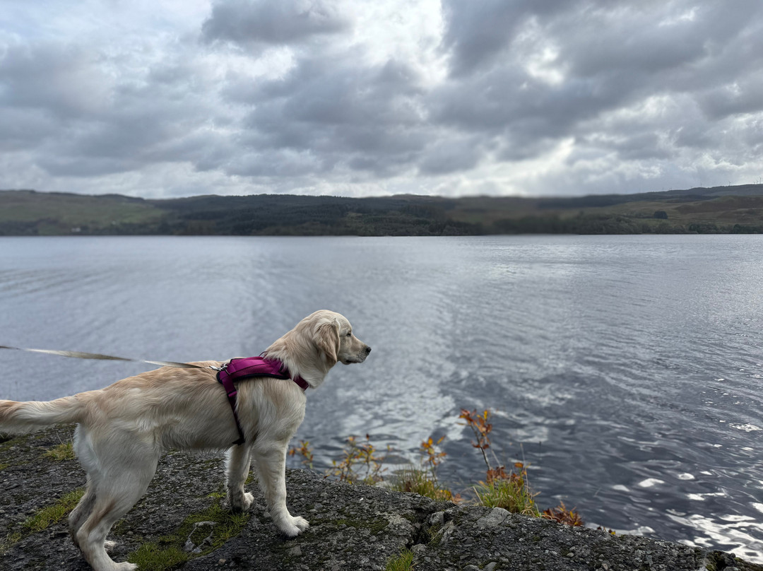 Freya's Loch Side Cabin