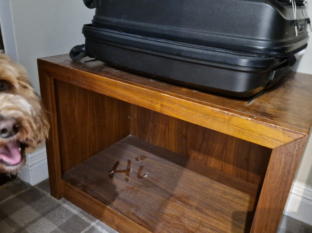 Ramside Hall Hotel主图