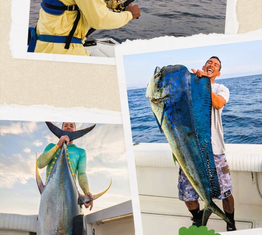 Fishing Rebels-瓦拉塔港必去景点