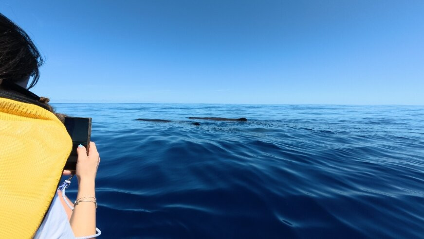 Adrien's Dream-弗力克昂弗雷克必去景点