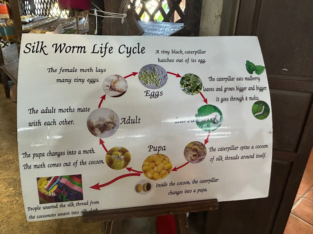 Thai Silk Village-山甘烹必去景点