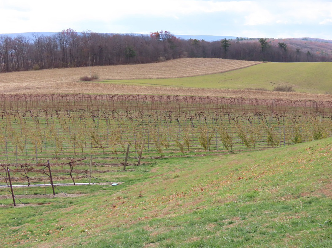 Galen Glen Winery-Andreas必去景点
