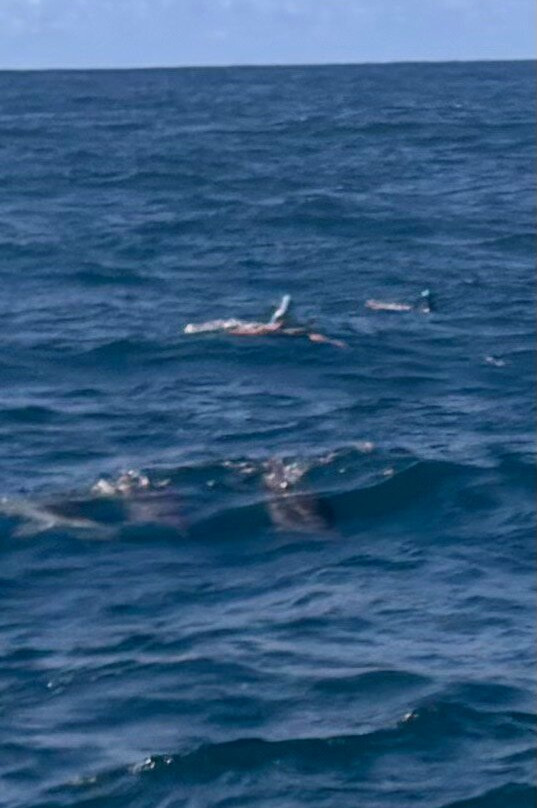 Karlos Excursions-莫纳山必去景点