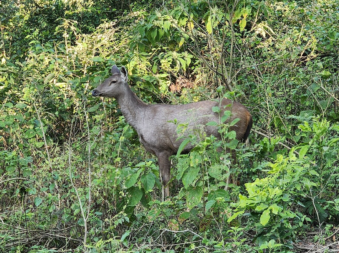 707 Tours-新德里必去景点