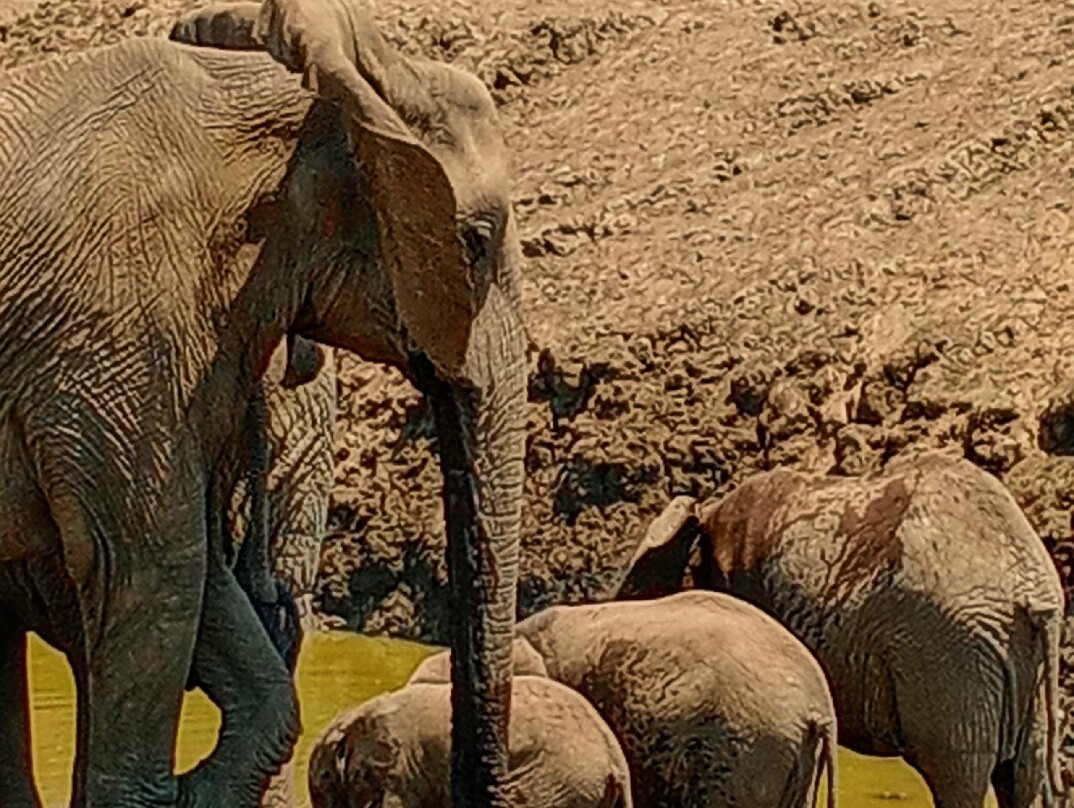 I Viaggi Di Dada Polly-基万嘎必去景点