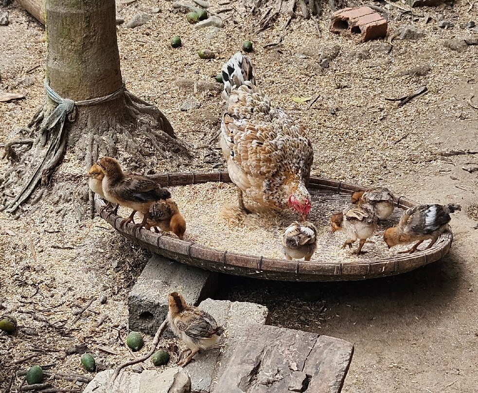 Pu Luong Ancient Stilt House-清化必去景点