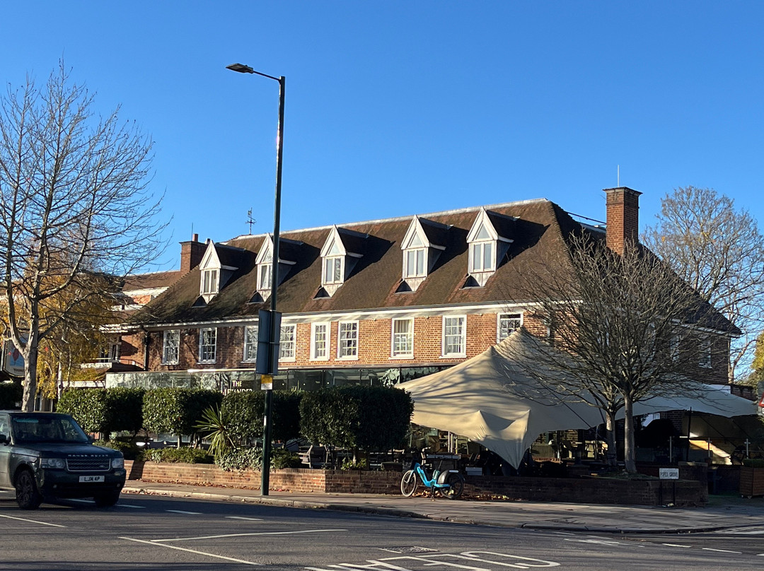 亚历山大教皇酒店主图