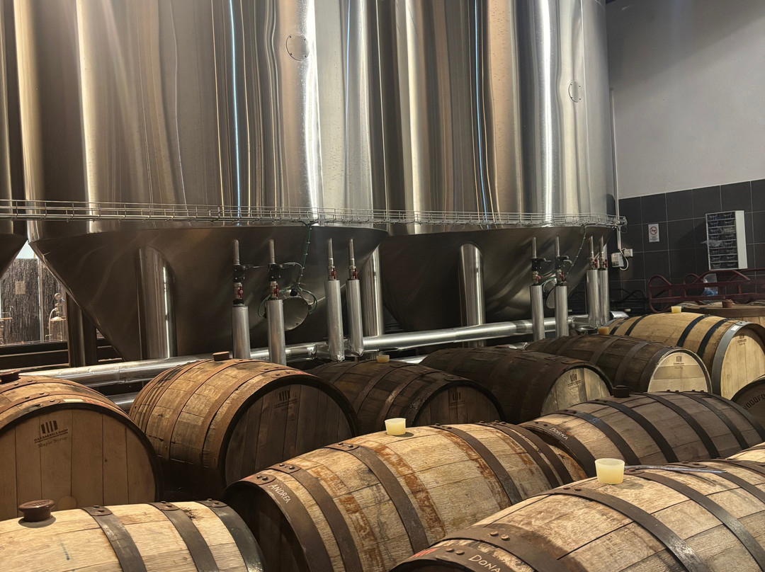 FIRST Craft Beer Brewery & Taproom-布达佩斯必去景点