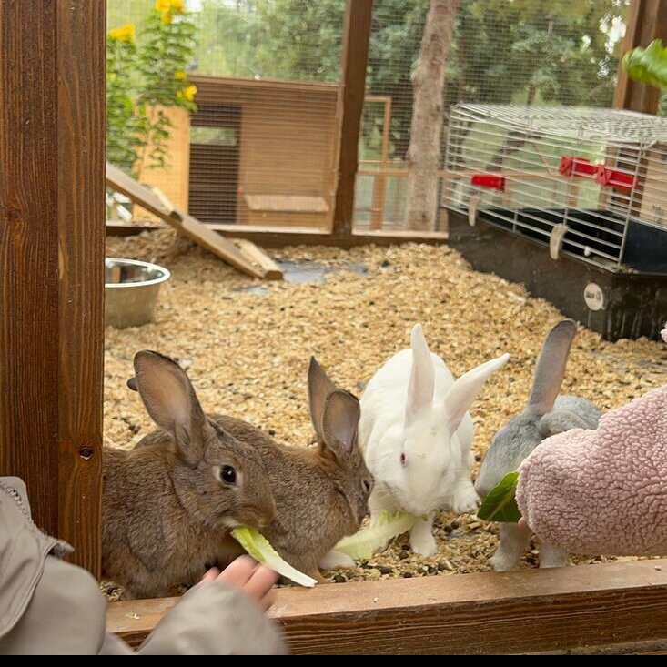 Mountain Breeze Lodge & Resort主图