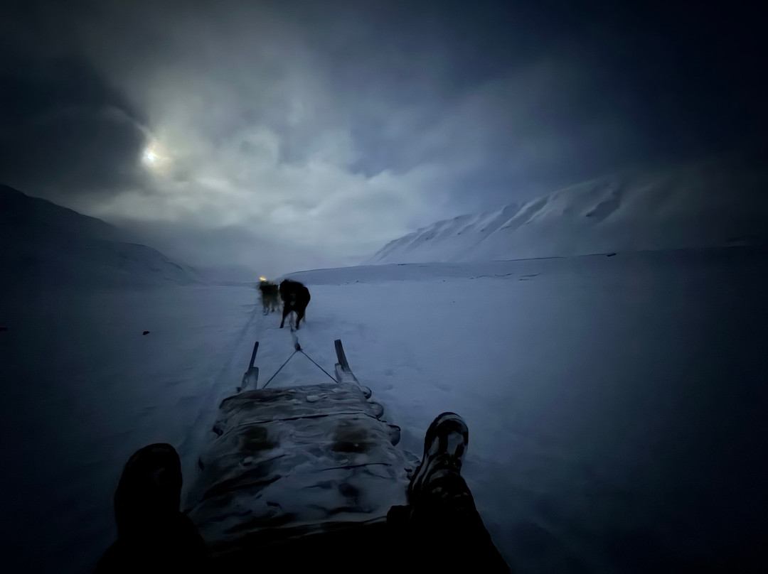 Green Dog Svalbard-朗伊尔城必去景点