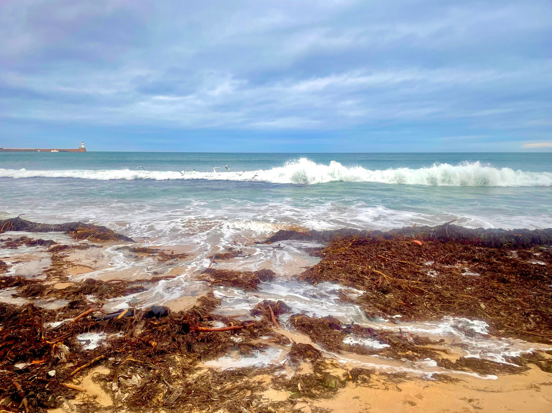 Fraserburgh Beach-Fraserburgh必去景点