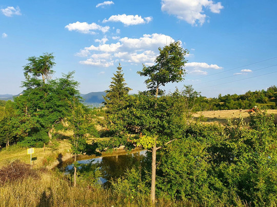 Ranch Aurora Bulgaria-Zasele必去景点