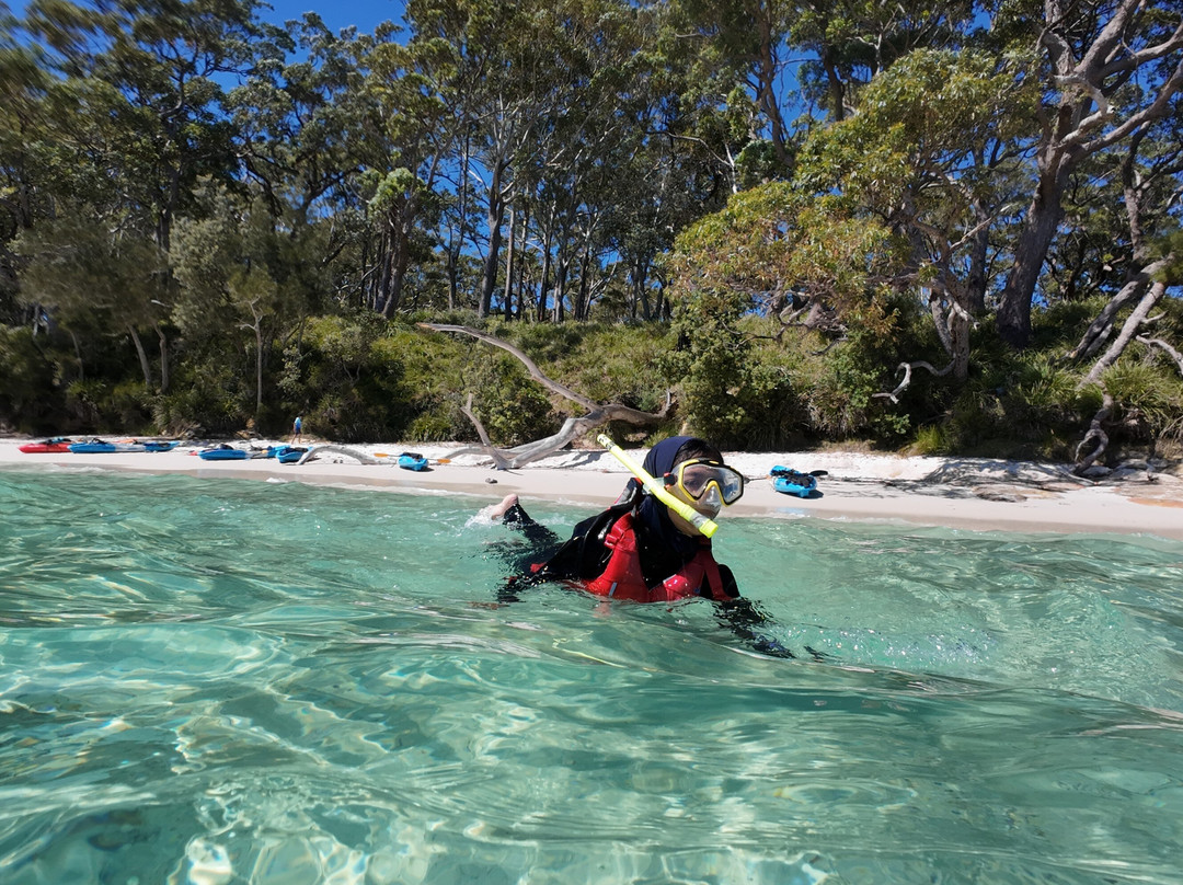 Jervis Bay Kayak & Paddlesports Co-赫斯基森必去景点