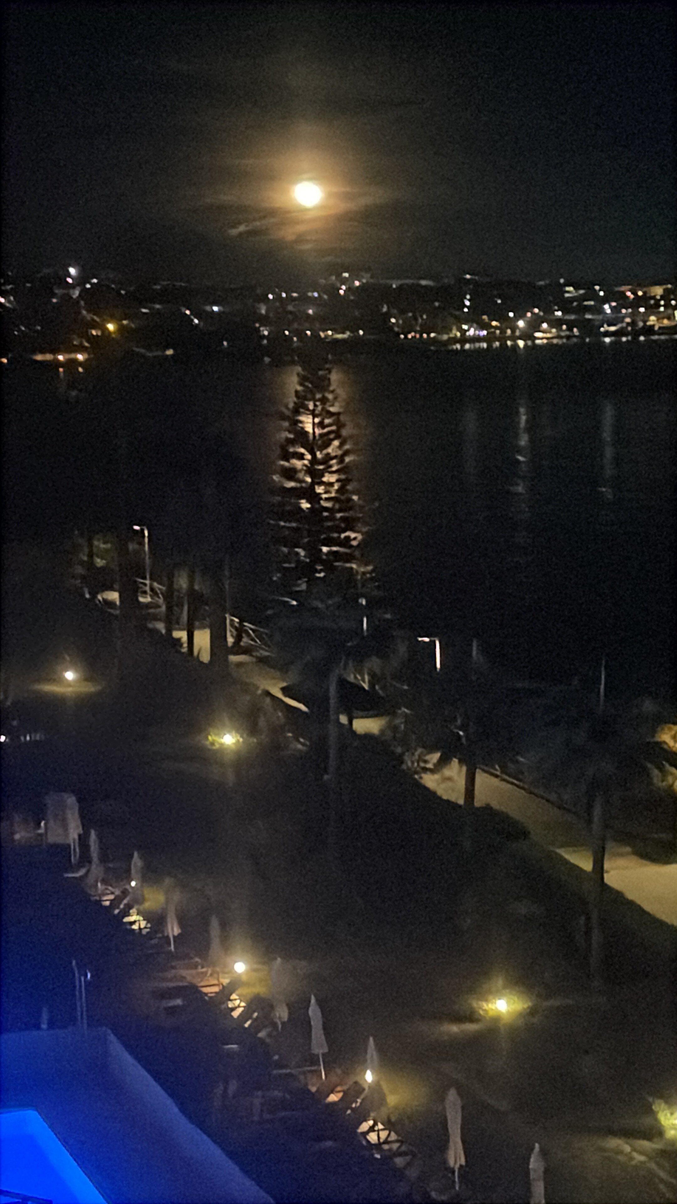 Elba Estepona Gran Hotel & Thalasso Spa-官方